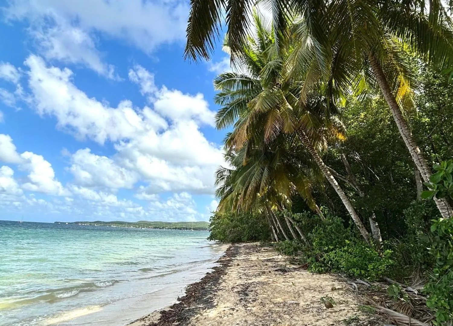 La Serena De Toumalacai, Piscine, Plage, Tennis - Blue Dream Hotel Grand-Bourg  Guadeloupe