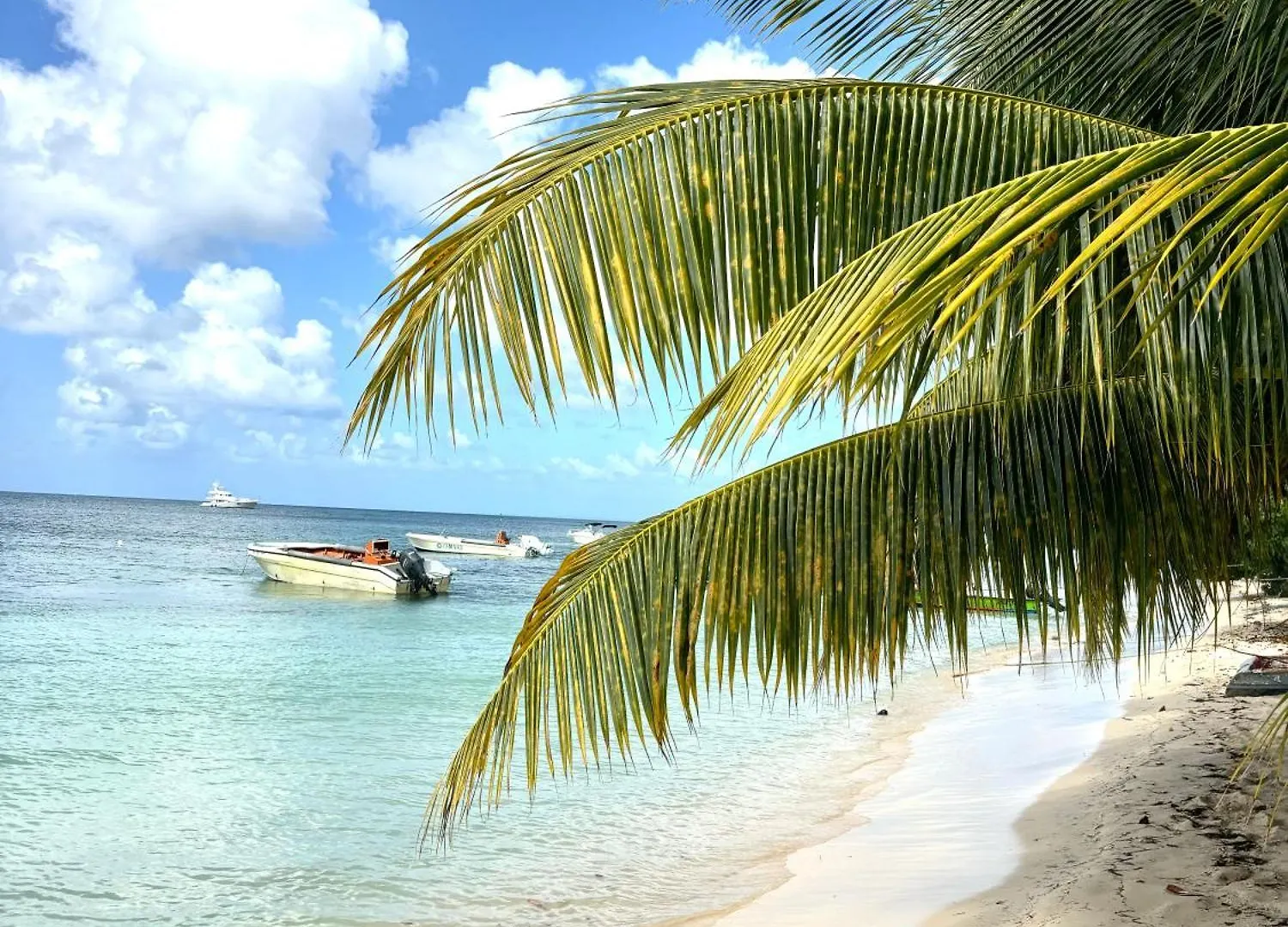 La Serena De Toumalacai, Piscine, Plage, Tennis - Blue Dream Hotel Grand-Bourg  0*, Grand-Bourg (Marie Galante) Guadeloupe